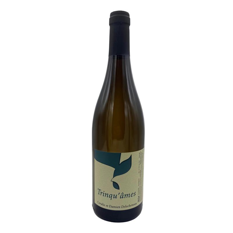 Coralie et Damien Delecheneau Trinquames Sauvignon 2024